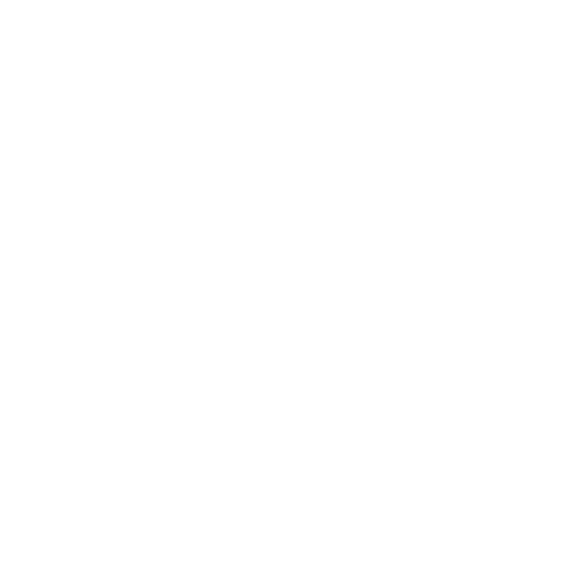 Limousine e transfer
